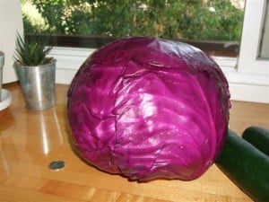 Red Cabbage Head