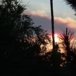 2008-1115-smoke-from-sylmar-fire