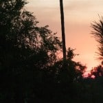 2008-1115-smoke-from-sylmar-fire-2