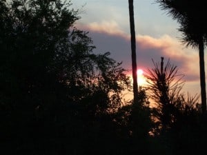 2008-1115-smoke-from-sylmar-fire 2008-1115-smoke-from-sylmar-fire