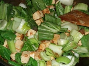 2008-11-bok-choy-tofu-1