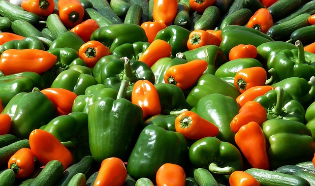 ec36b6092bf61c3e81584d04ee44408be273e4d511b2194097f6_640_vegetarians