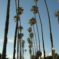 santa monica