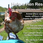 animal place