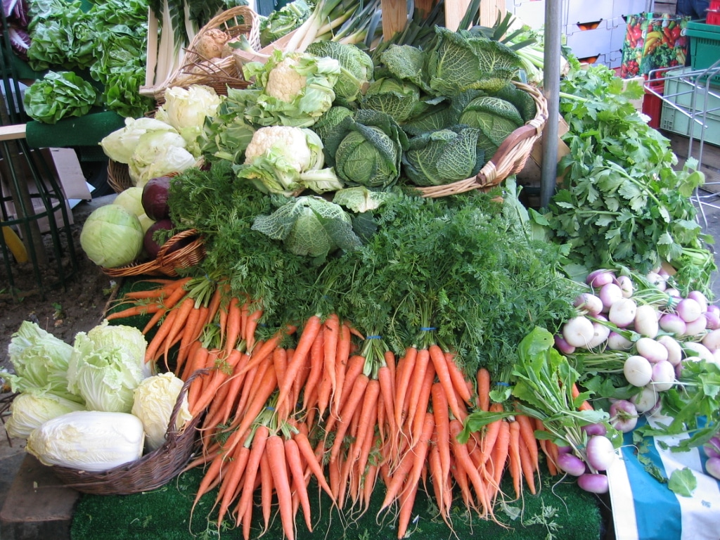 veganbits