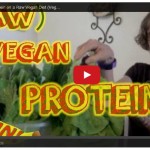 where do vegans get their protein from