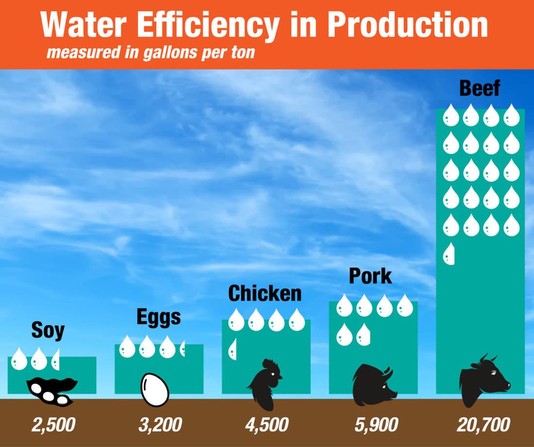 water efficiency