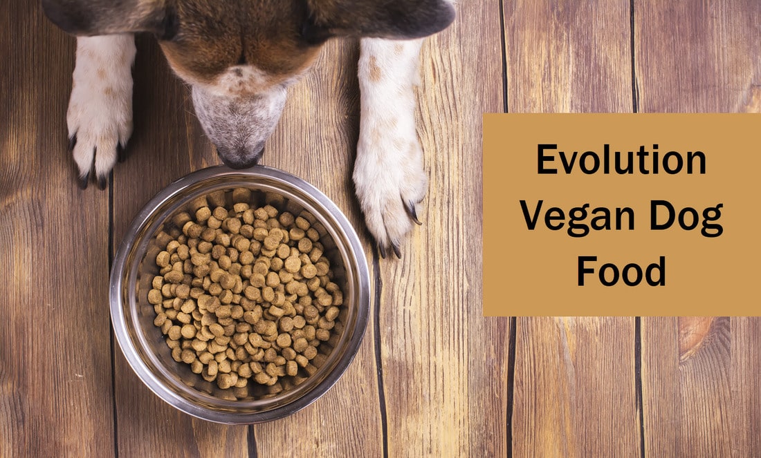 Wild Earth Vegan Dog Food