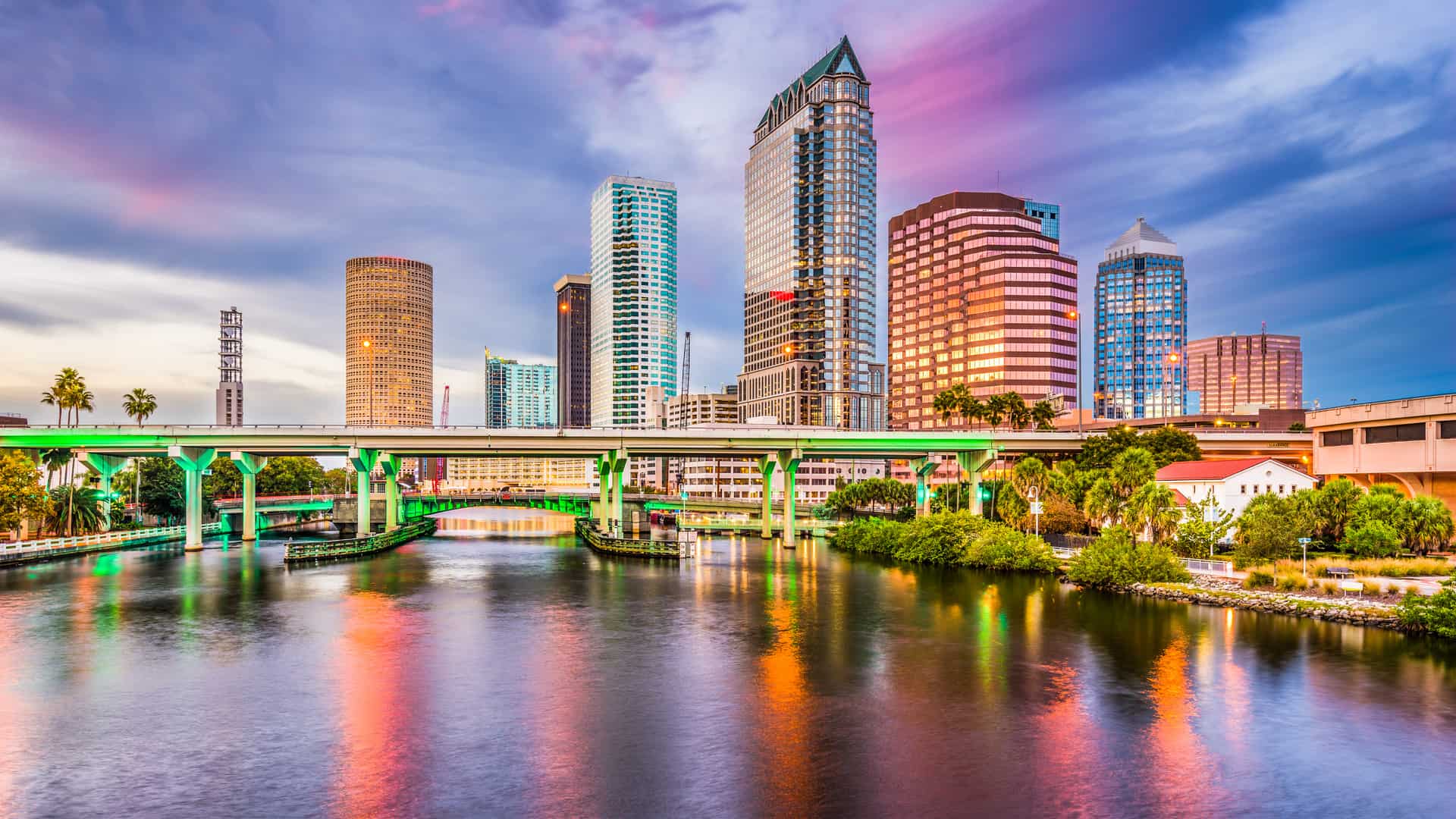 tampa vegan city tampa vegan city