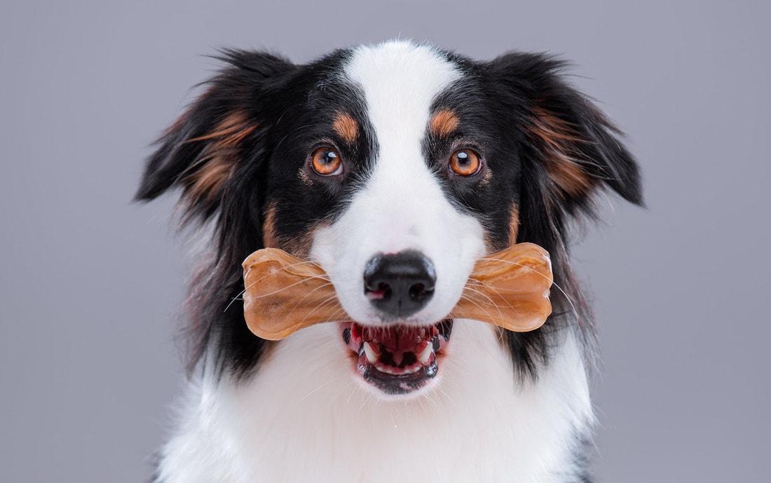 vegan dog bones vegan dog bones