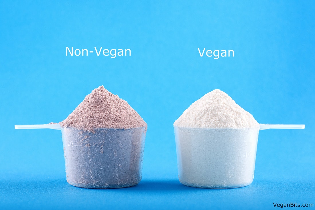 vegan protein vs non vegan protein